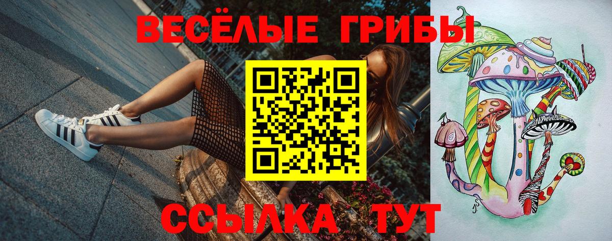 Псилоцибиновые грибы Psilocybine cubensis Хабаровск